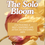 Thumbnail: The Solo Bloom: Cultivating a Self-Centered Life After Decentering Men - A Guide