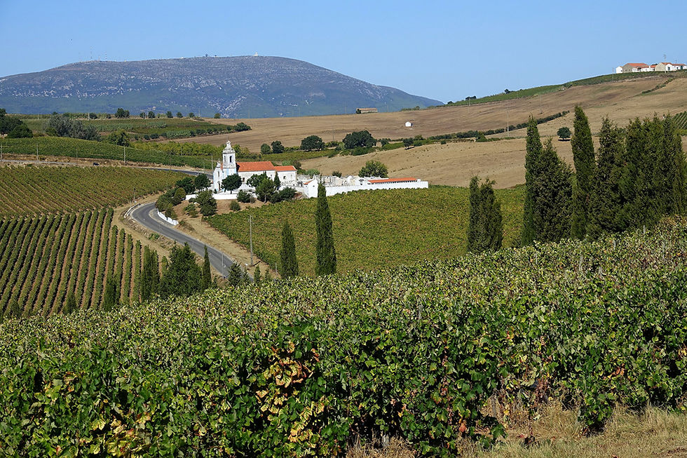 foto Montejunto.jpg