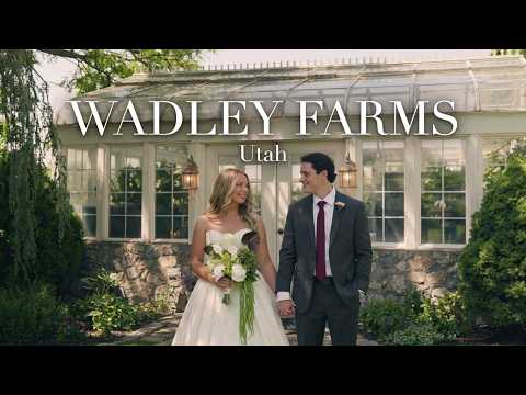 Luke & Kirsten wedding film