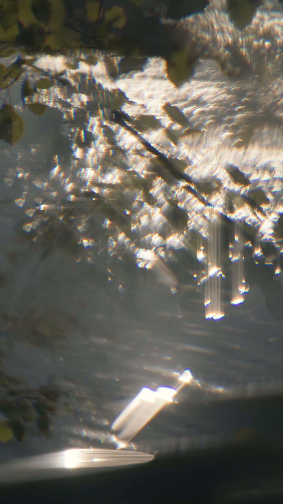 8443159-uhd_2160_3840_25fps.mp4