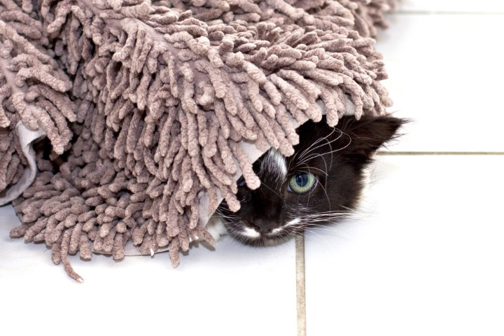 professional-carpet-cleaning-colorado-springs-hiding-carpet-stains
