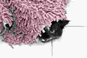 professional-carpet-cleaning-colorado-springs-hiding-carpet-stains