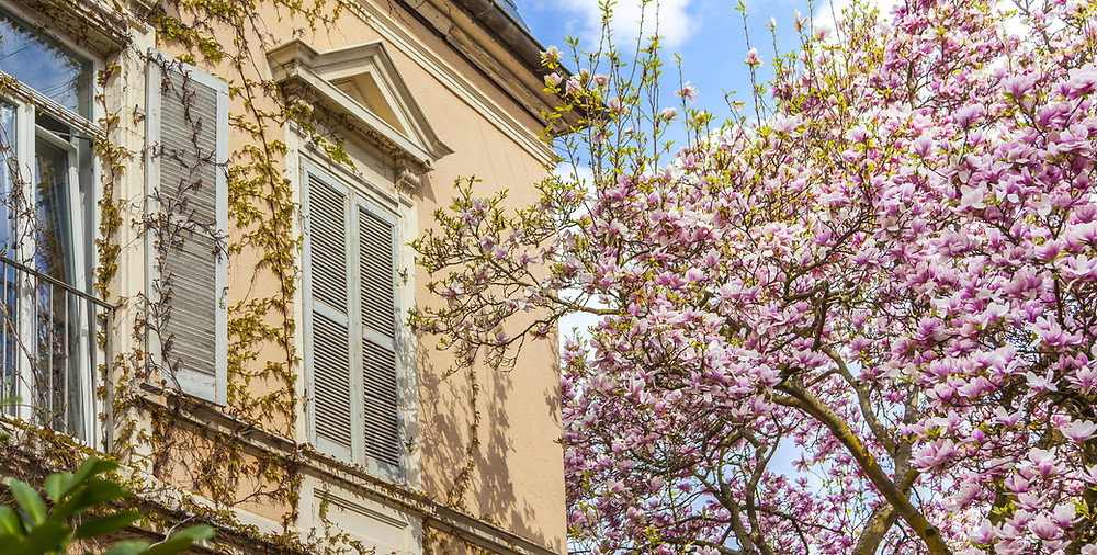 allergy proof your home