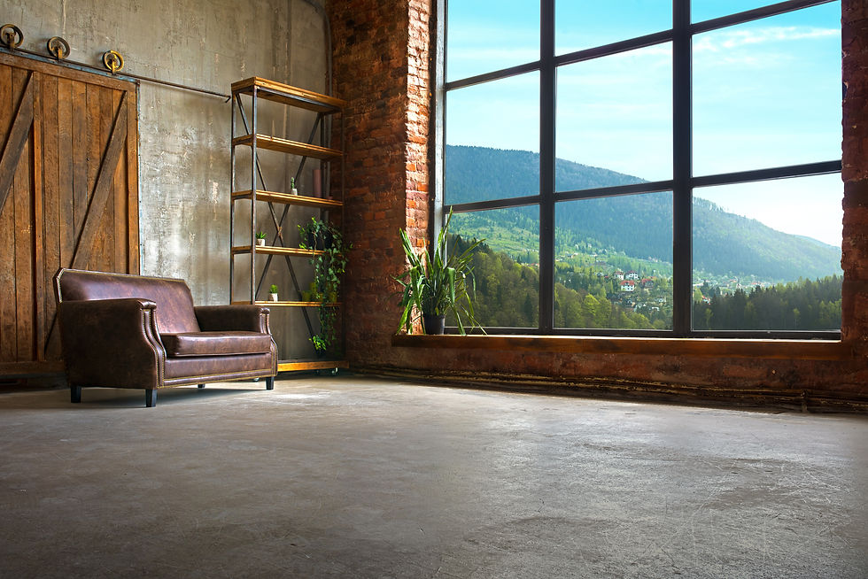 clean carpet in summer