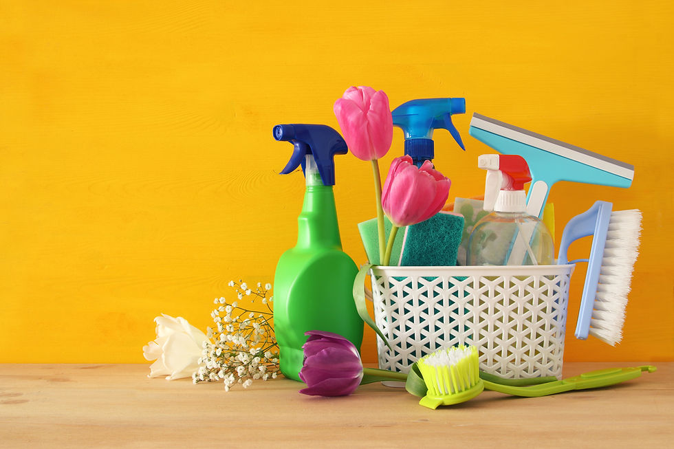 spring cleaning supplies