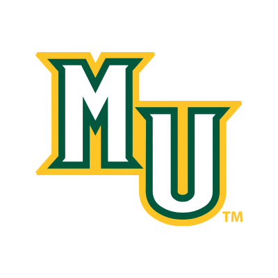 Methodist Logo