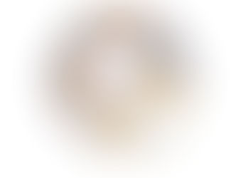 A circular white plate decorated with colored illustrations of a person and a reptile, surrounded by spheres and a red border.