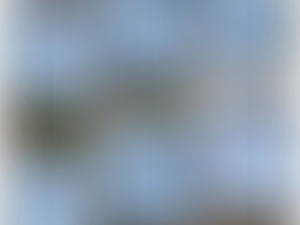 Six pictures of blue and white textiles, dyed with varying patterns and shapes.