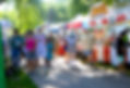 FV 2019 Crowd 1.jpg