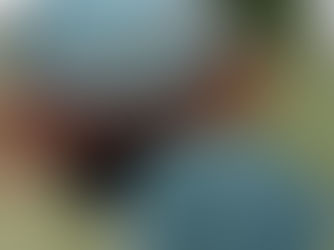 A light blue pottery bowl and colander, surrounded by everyday home decor.