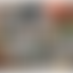 Collage of cats and dogs in various settings, including a dog in a wheelchair, a cat in a box, and pets playing outside. Cozy, diverse, joyful.