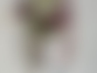 Flowers in a white hanging vase with curved snake designs in pink, black and blue.