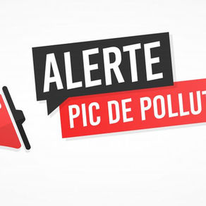Mise en œuvre des actions et mesures de lutte contre les pics de pollution atmosphériques