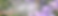 Accueil_BG_printemps1_png.png
