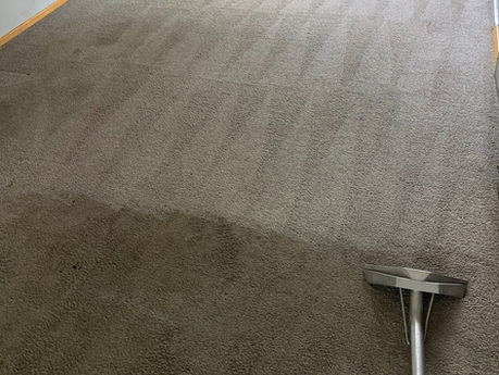 Professional Carpet Cleaning in Calgary: Why Your Home Deserves the Royal Treatment