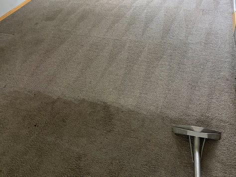 Professional Carpet Cleaning in Calgary: Why Your Home Deserves the Royal Treatment