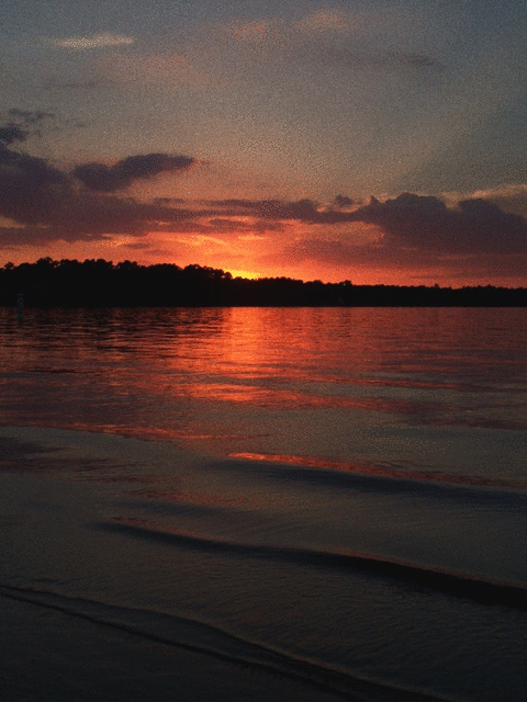 2016-08-05-9qUn54q9z6k.gif