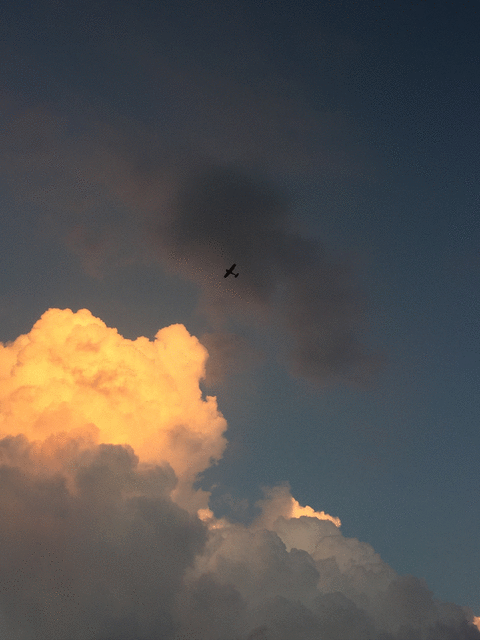 2016-06-12-q4mjq44pf30.gif