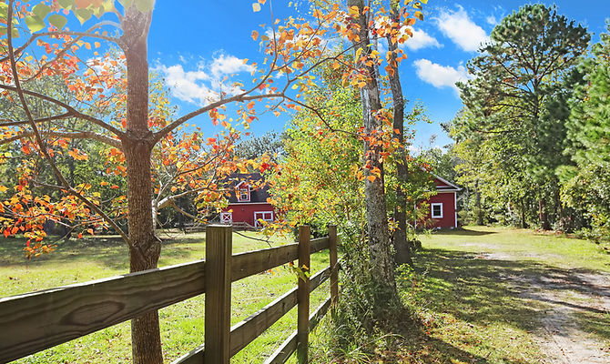 320 Annandale Trace, Hampstead by Christina Block & Associates