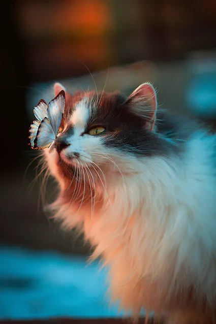Image by Karina Vorozheeva.webp