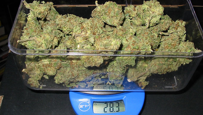 Ounce Deals