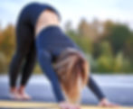 Downward dog image