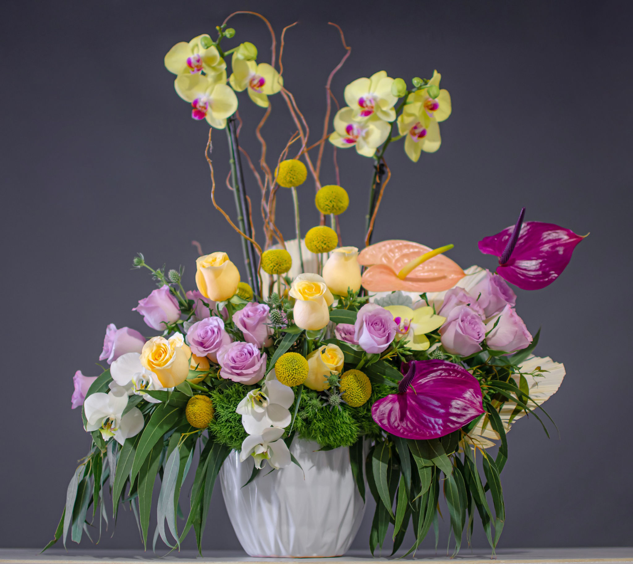 Resplandor de orquídeas