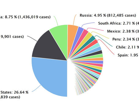 COVID-19 and Beyond: A Perspective from Japan and South Africa
