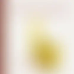 "THE SHADWO OF THE GUEST" By Blonde Redhead