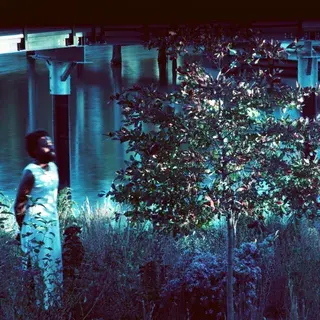 When Silence Becomes Song: JJJJJerome Ellis and the Sacred Clearings of "VESPER SPARROW"