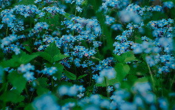 daria-shatova-HYRvTRZchCY-unsplash.jpg