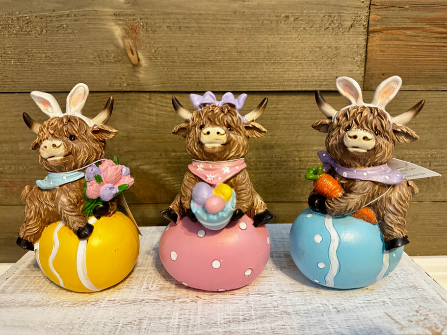 Easter Highland Cows