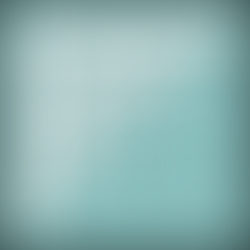 August 2024 BOM 8 is here!