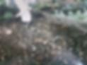 20190927_132850_edited.jpg