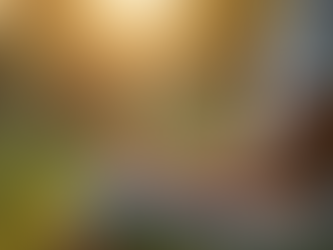 Transform Your Life Through Reiki and Spirit Messages