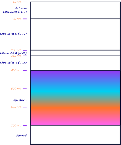 Asset 38@4x-8.png