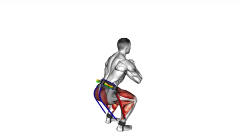 Legs-OX1-Squats.gif