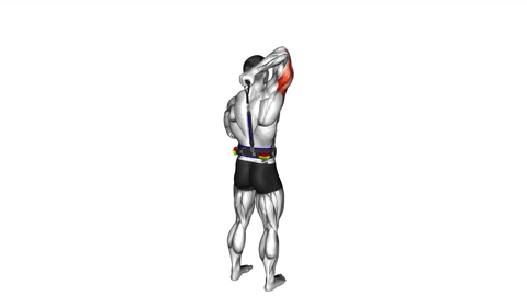 Tricep-Tricep-Overhead-Extension.gif