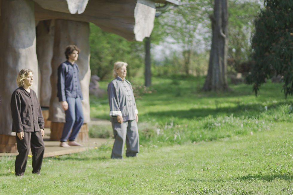 Sommer im Dragonwood - Tai Chi im Freien. Besser atmen bei frischer Luft.