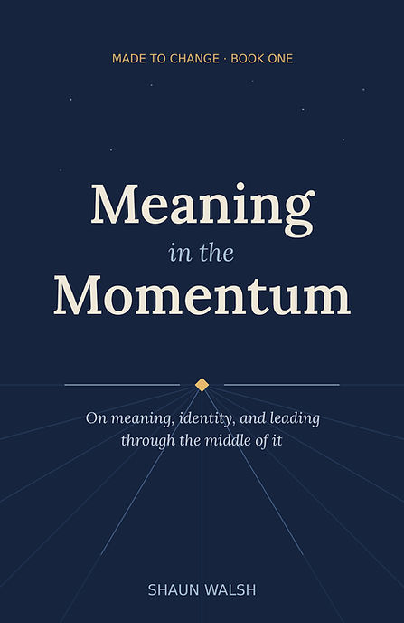 Meaning in the Momentum - cover - 1600x2560.jpg