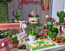 decoração festa lhamas (11).jpeg