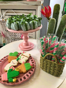 decoração festa lhamas (13).jpeg