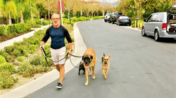 17098124_1265883916821936_75752530671783