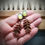 Thumbnail: Woodland Vibes .. chalcedony 