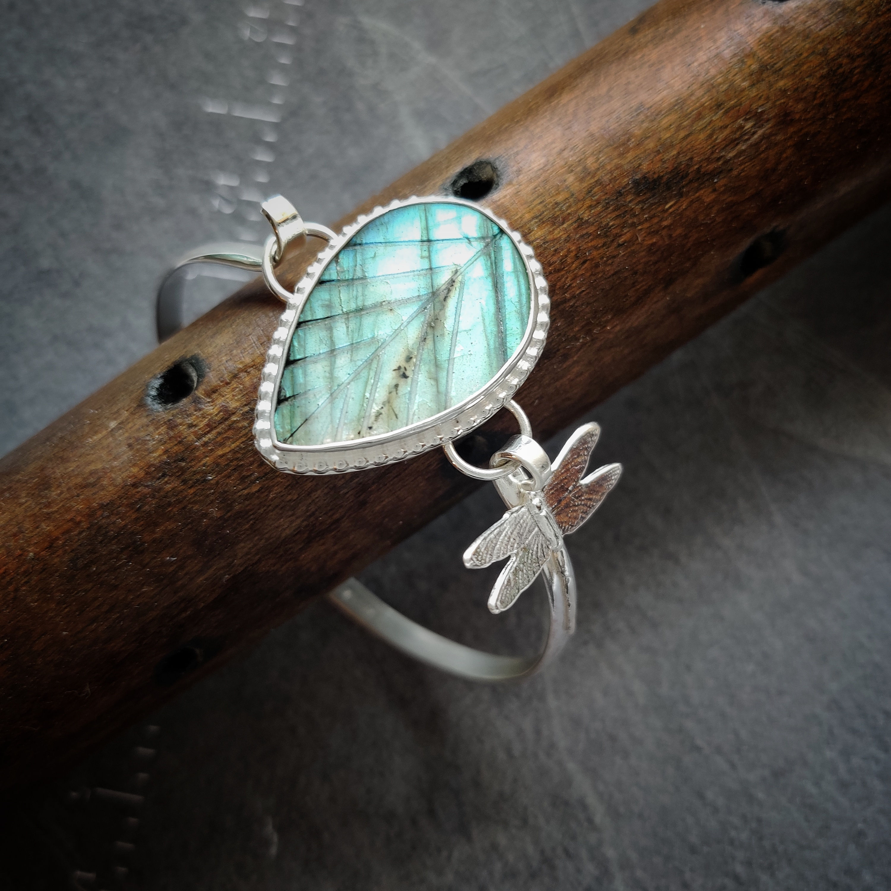 Shimmering Leaf .. Dragonfly