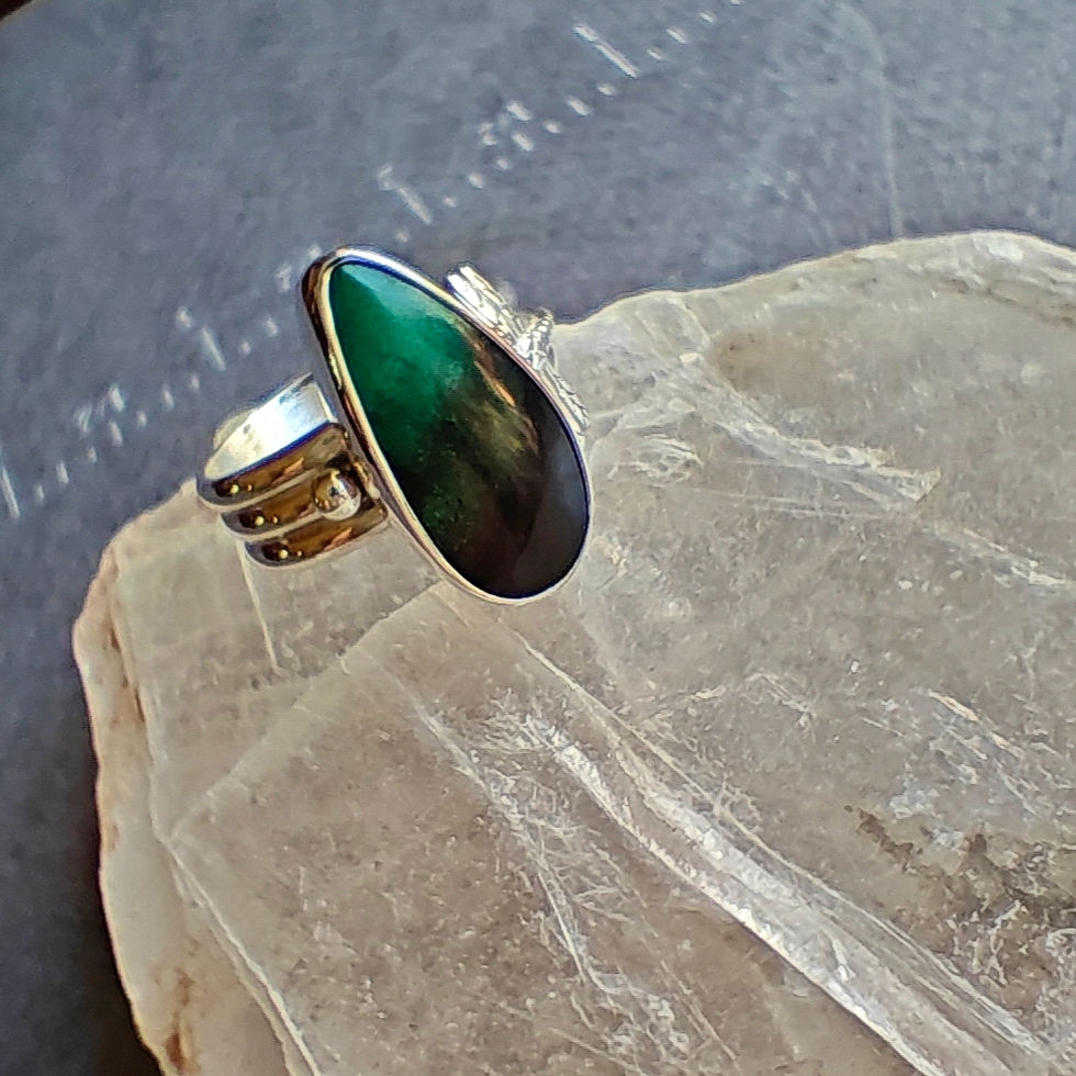 Thumbnail: Indonesian Opalized Ancient Wood