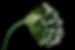 bud.jpg