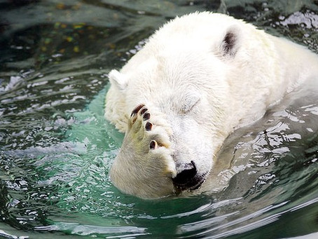 What is Winterising?