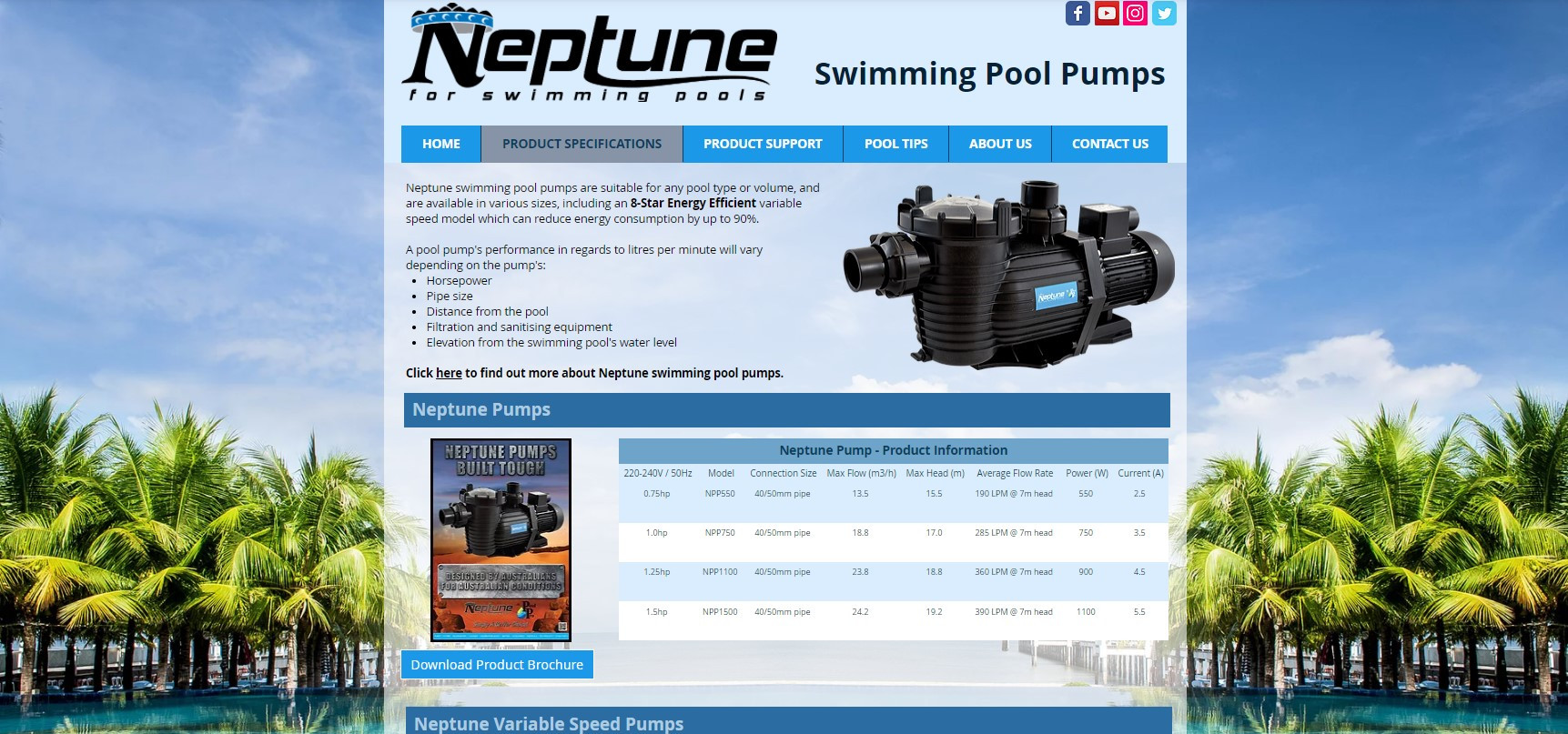 Neptune Swimming Pool Pumps Product Specifications
