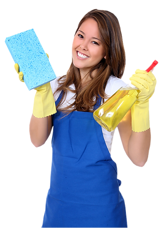 Commerical Cleaner House Cleaner